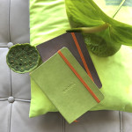 Rhodia Softcover Notebook - Medium - Anise Green - Lined - Picture 1